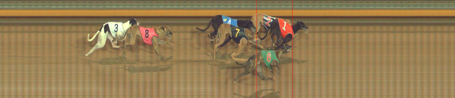Photo finish for Bendigo Race 9