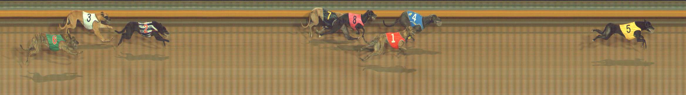 Photo finish for Bendigo Race 11
