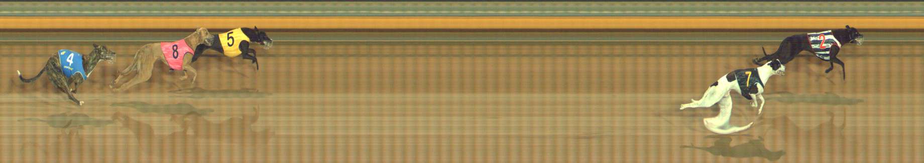 Photo finish for Bendigo Race 2