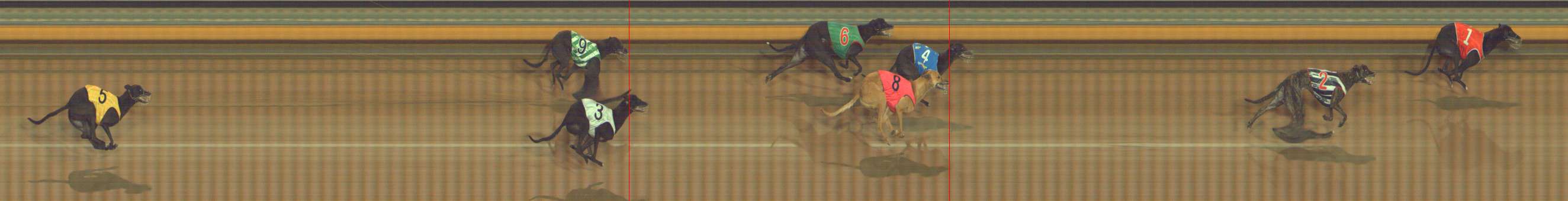 Photo finish for Bendigo Race 5