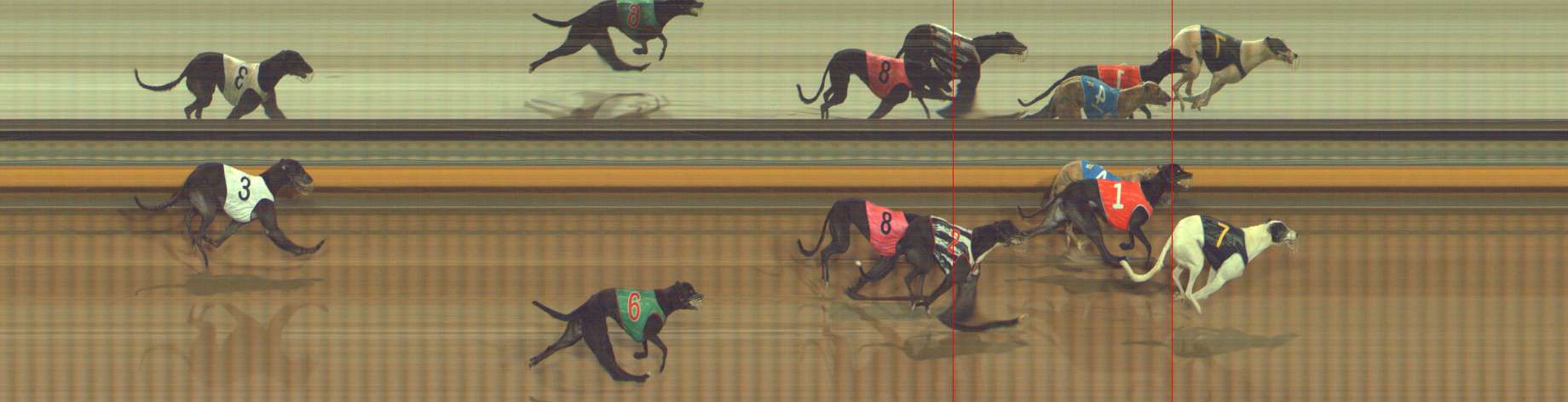 Photo finish for Bendigo Race 6