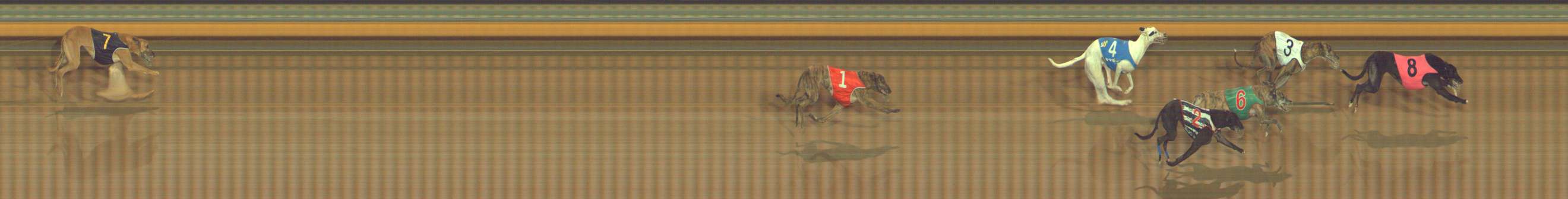 Photo finish for Bendigo Race 7