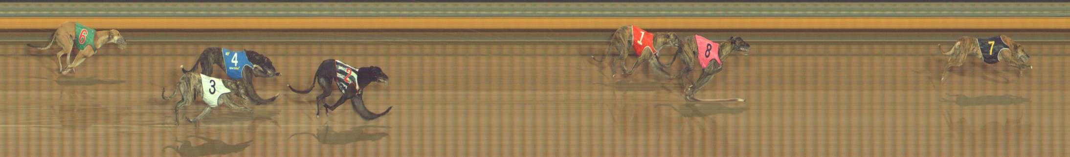 Photo finish for Bendigo Race 8