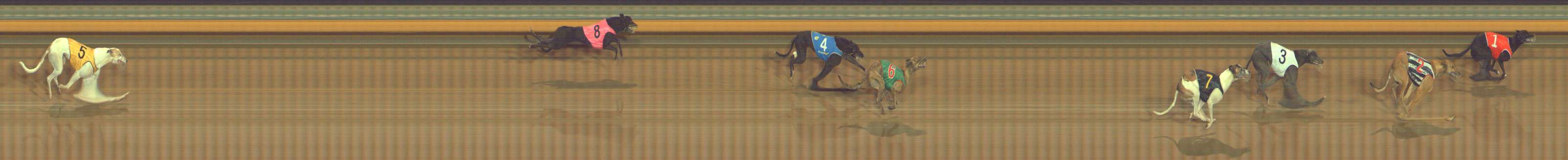 Photo finish for Bendigo Race 10