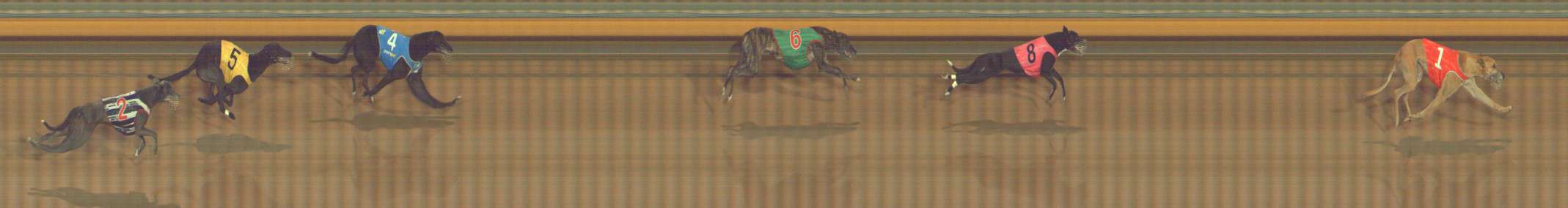 Photo finish for Bendigo Race 12