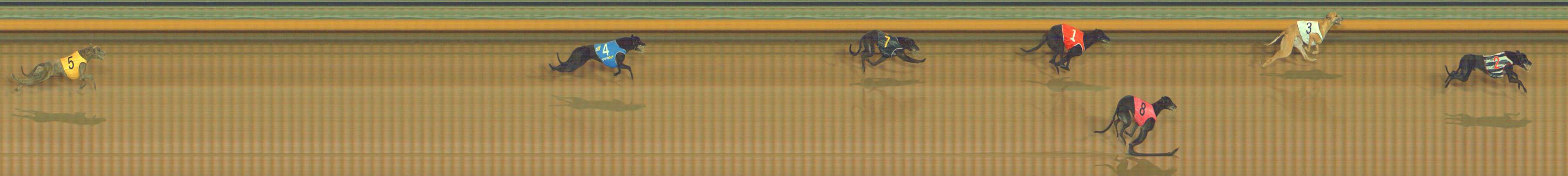Photo finish for Bendigo Race 2