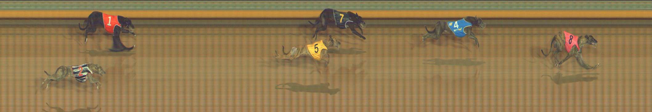 Photo finish for Bendigo Race 3
