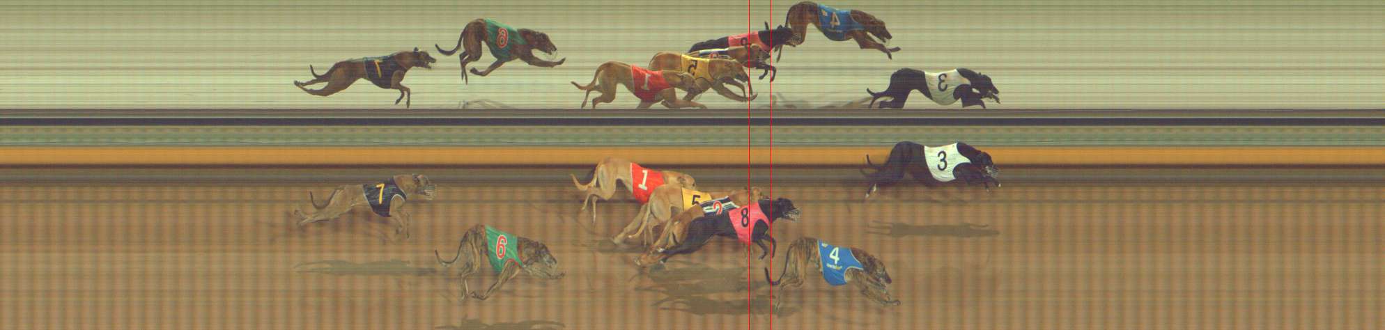 Photo finish for Bendigo Race 5