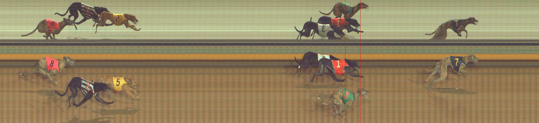 Photo finish for Bendigo Race 6