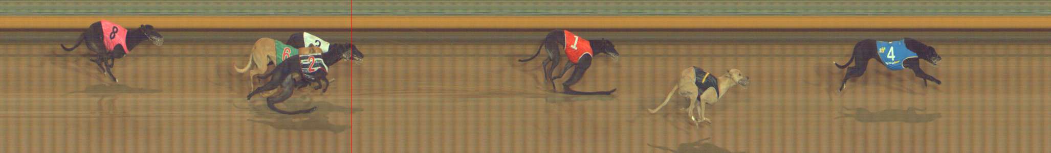 Photo finish for Bendigo Race 8