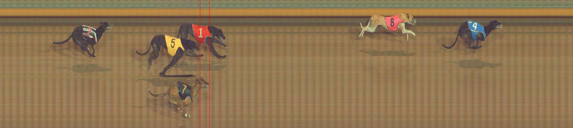 Photo finish for Bendigo Race 9