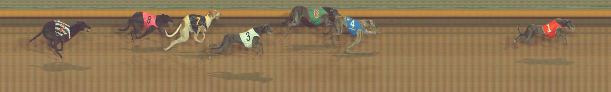 Photo finish for Bendigo Race 10