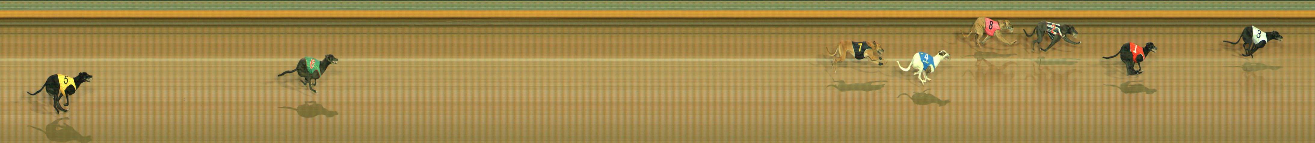 Photo finish for Bendigo Race 1