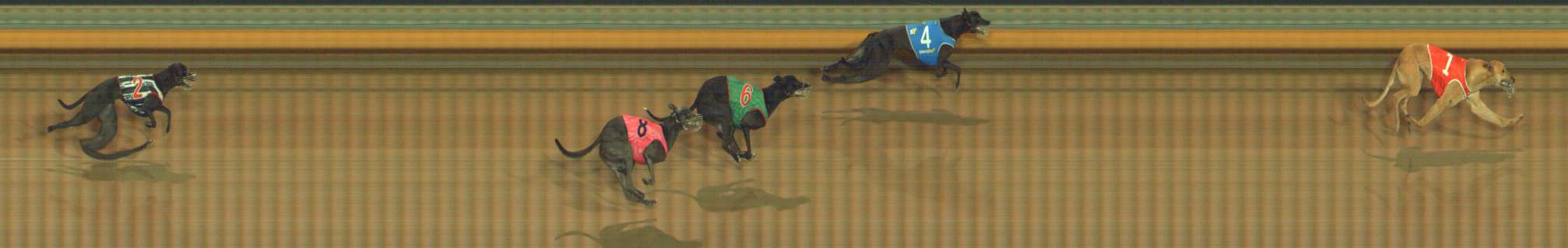 Photo finish for Bendigo Race 2