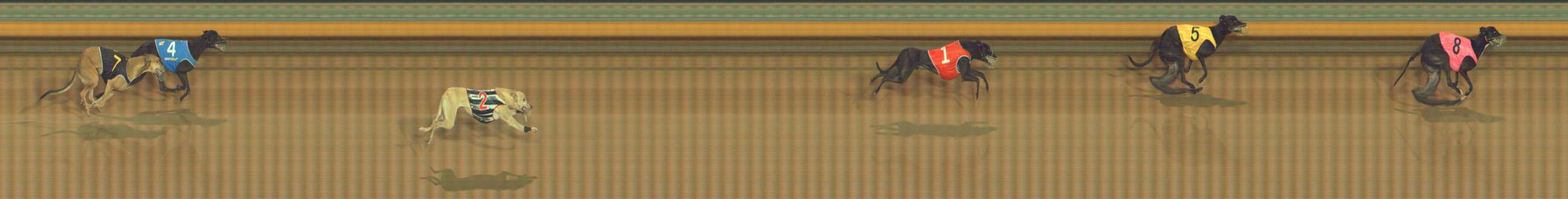 Photo finish for Bendigo Race 3