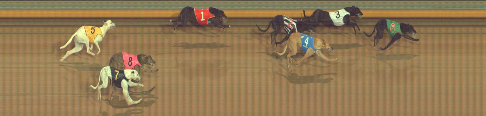 Photo finish for Bendigo Race 5
