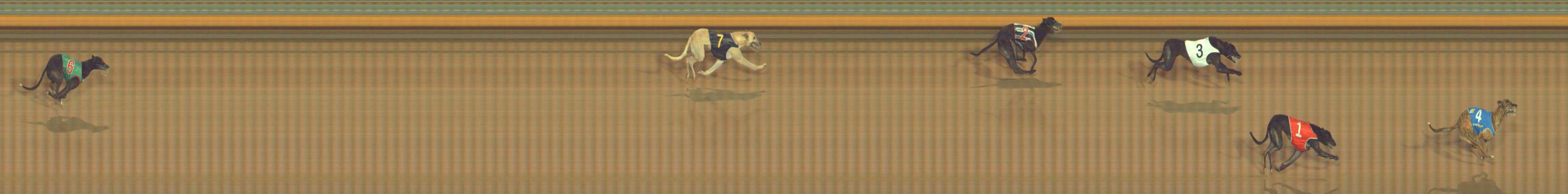 Photo finish for Bendigo Race 7
