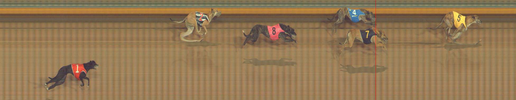 Photo finish for Bendigo Race 9