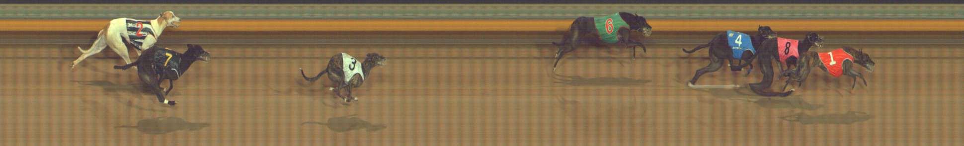 Photo finish for Bendigo Race 12