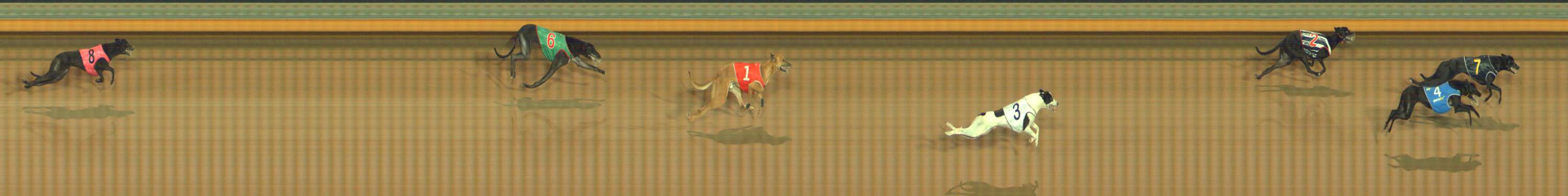 Photo finish for Bendigo Race 1