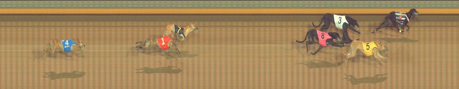 Photo finish for Bendigo Race 3