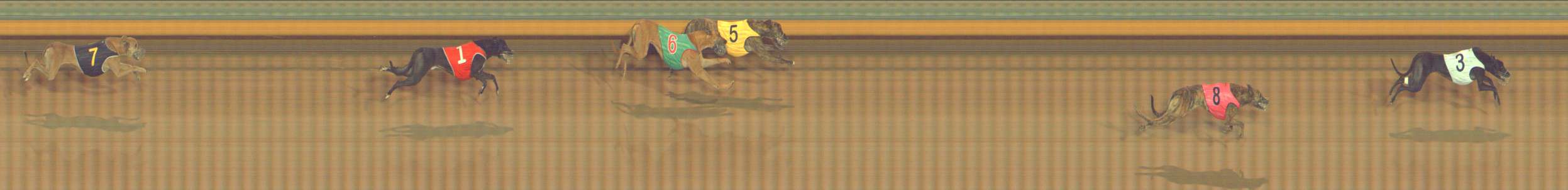Photo finish for Bendigo Race 4