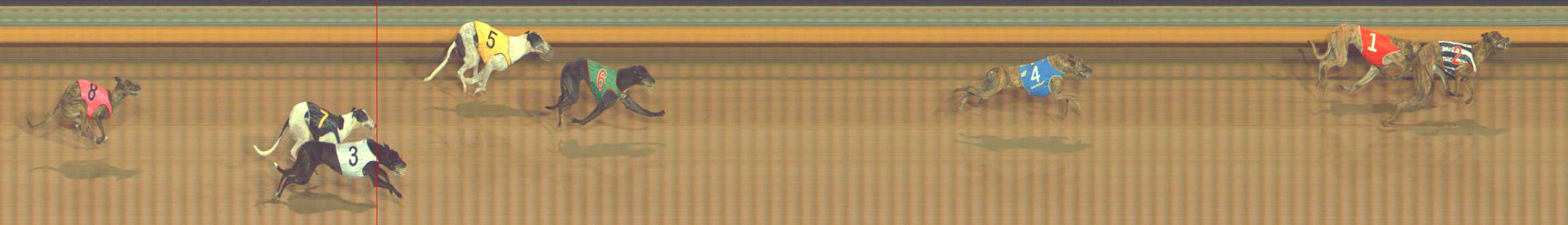 Photo finish for Bendigo Race 5