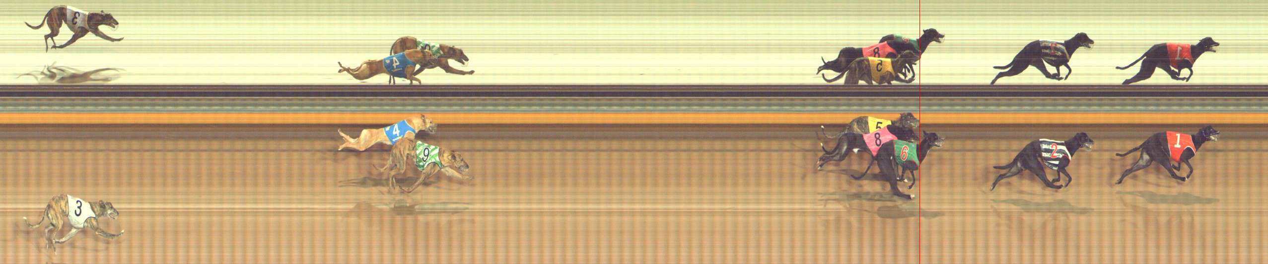 Photo finish for Bendigo Race 6