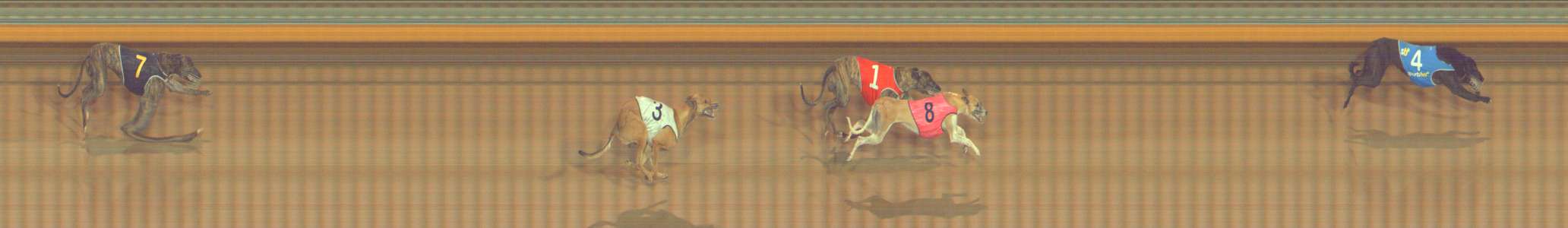 Photo finish for Bendigo Race 8