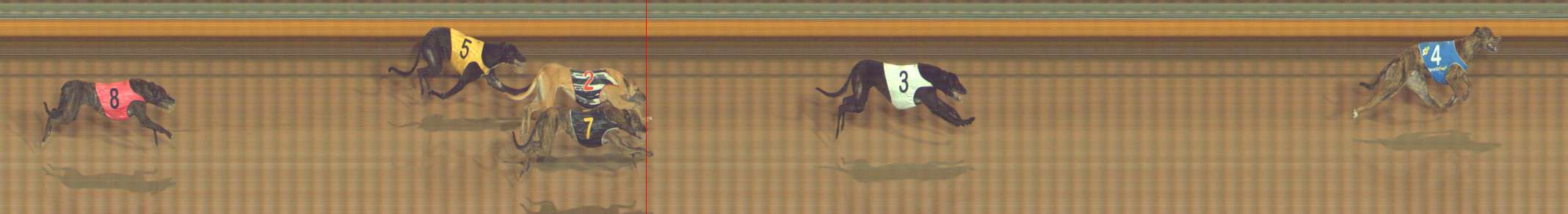 Photo finish for Bendigo Race 9