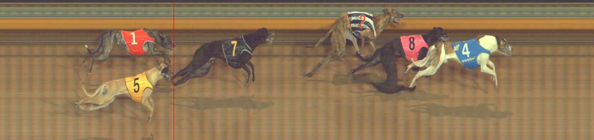 Photo finish for Bendigo Race 10
