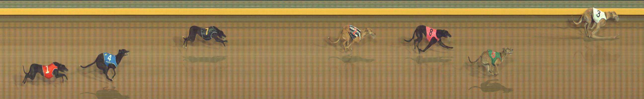 Photo finish for Bendigo Race 2