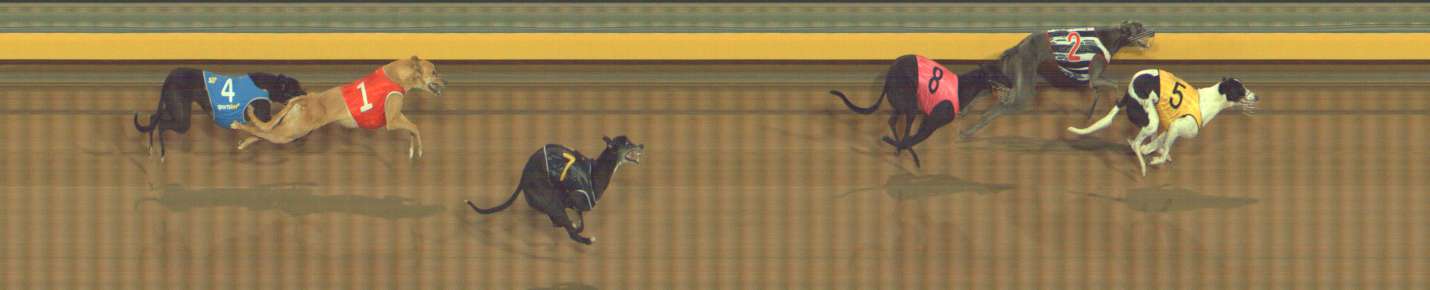 Photo finish for Bendigo Race 3