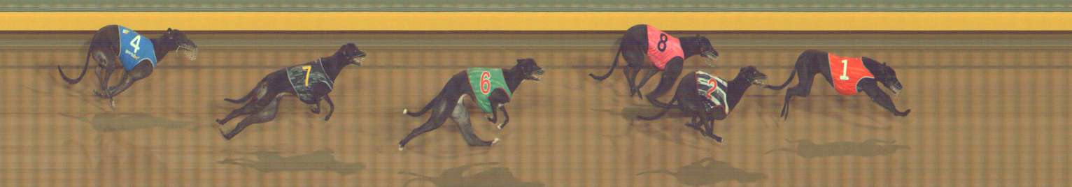 Photo finish for Bendigo Race 4