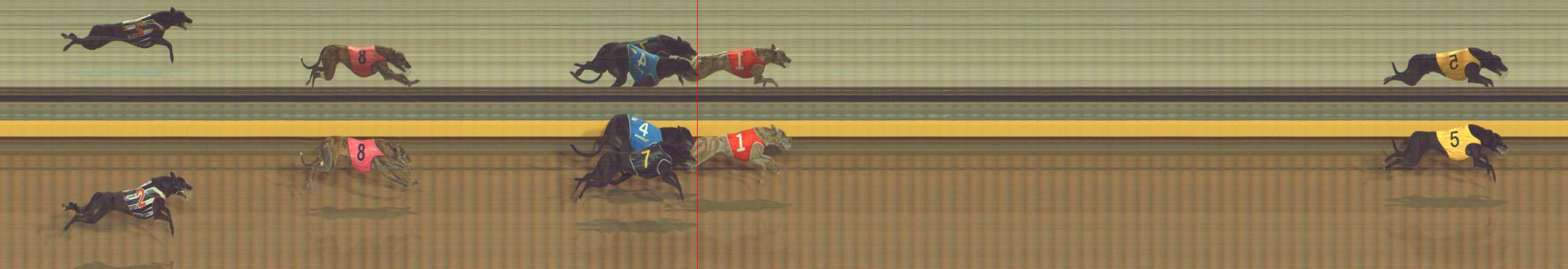 Photo finish for Bendigo Race 5