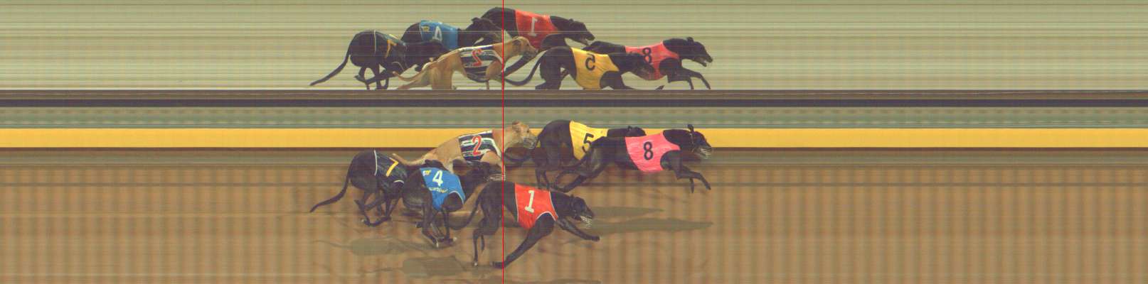 Photo finish for Bendigo Race 6
