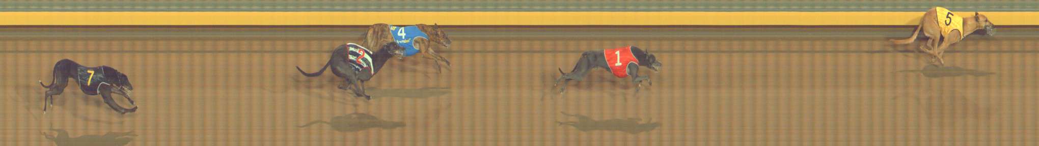 Photo finish for Bendigo Race 8