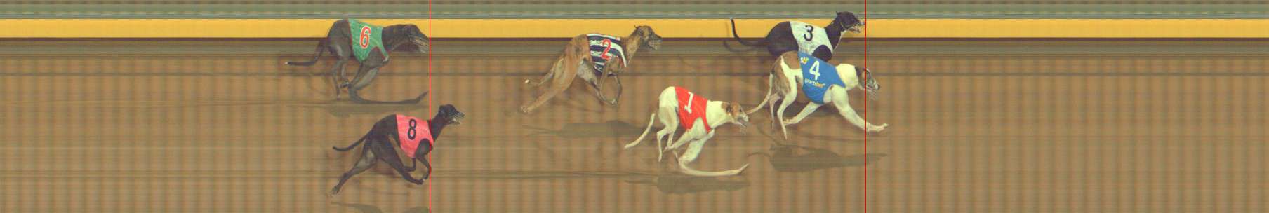Photo finish for Bendigo Race 10