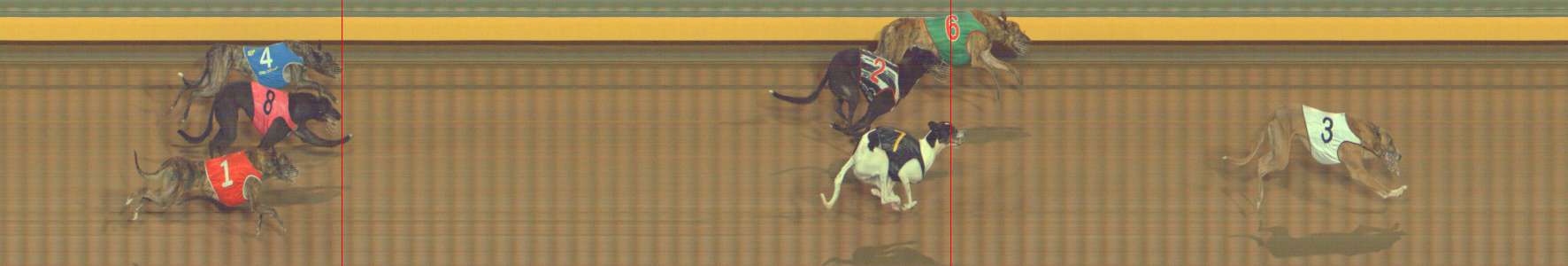 Photo finish for Bendigo Race 11