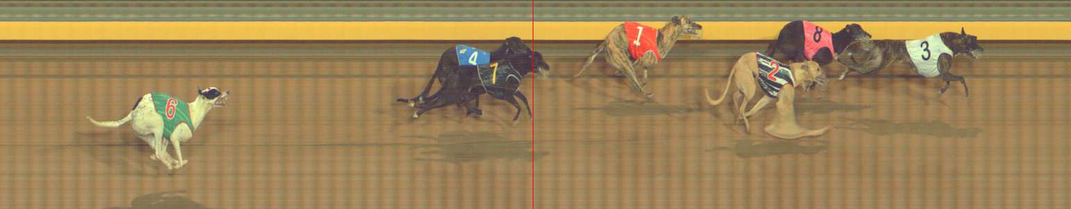 Photo finish for Bendigo Race 12