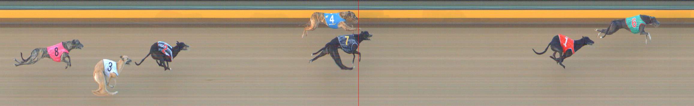 Photo finish for Bendigo Race 1
