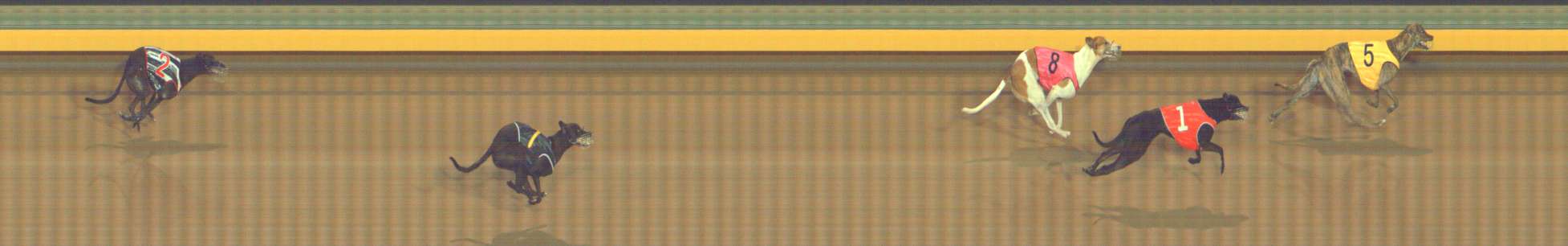 Photo finish for Bendigo Race 3