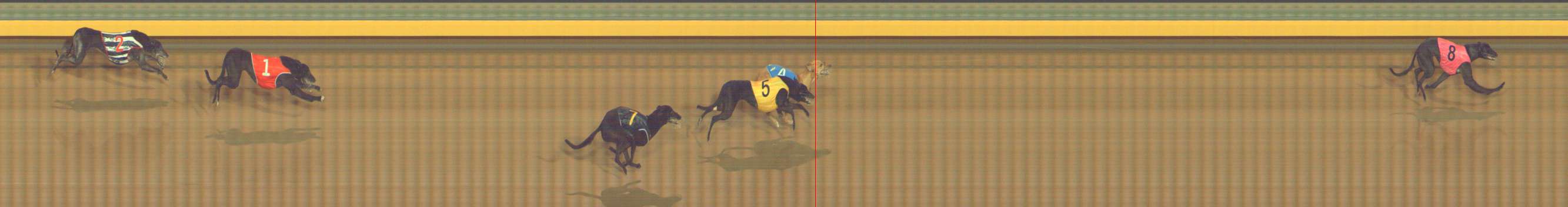 Photo finish for Bendigo Race 4