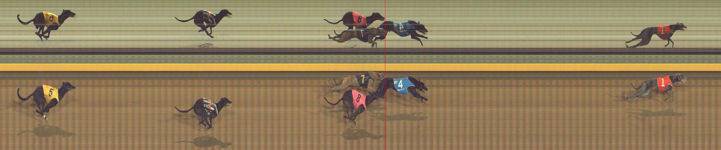 Photo finish for Bendigo Race 5