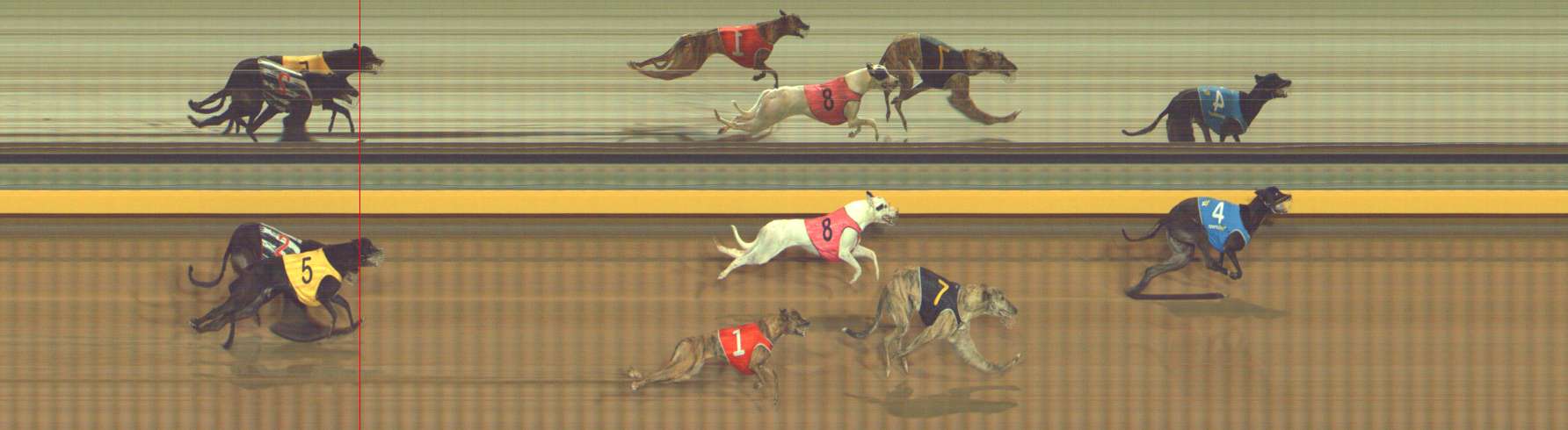 Photo finish for Bendigo Race 6