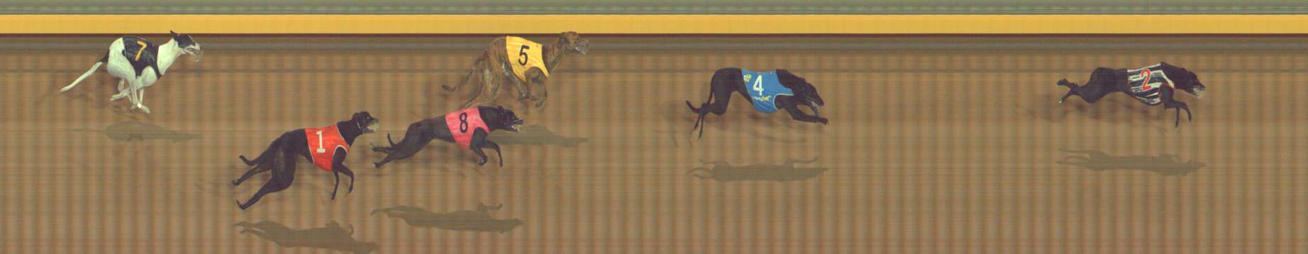 Photo finish for Bendigo Race 8