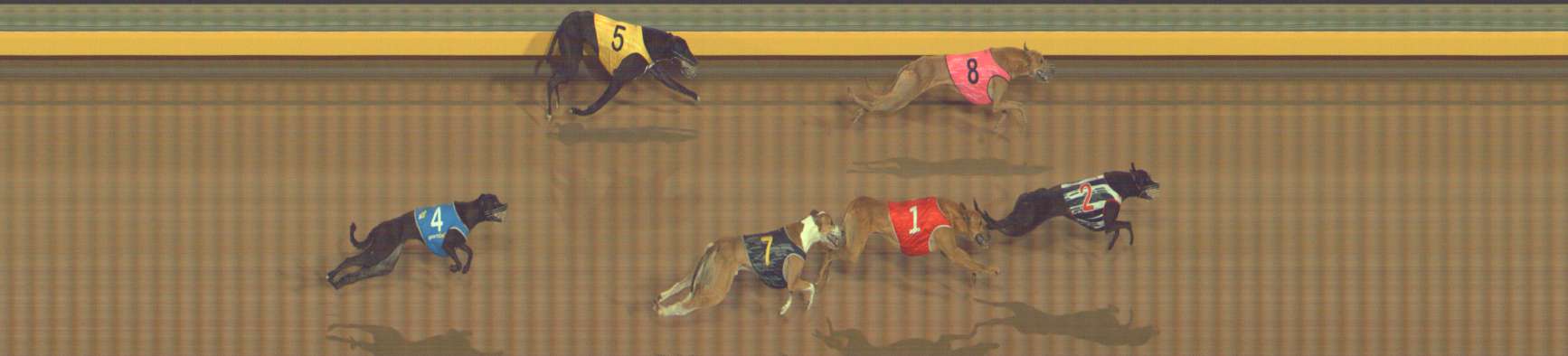 Photo finish for Bendigo Race 9