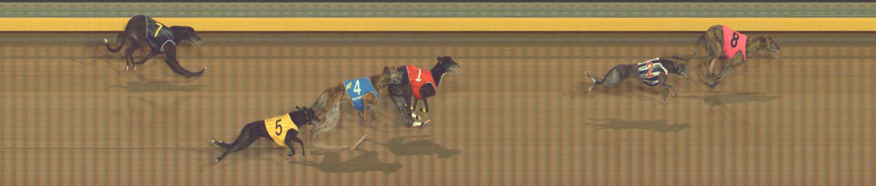 Photo finish for Bendigo Race 10