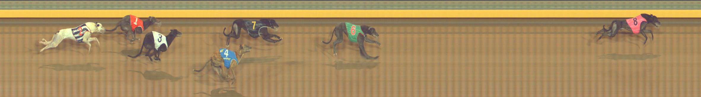 Photo finish for Bendigo Race 12