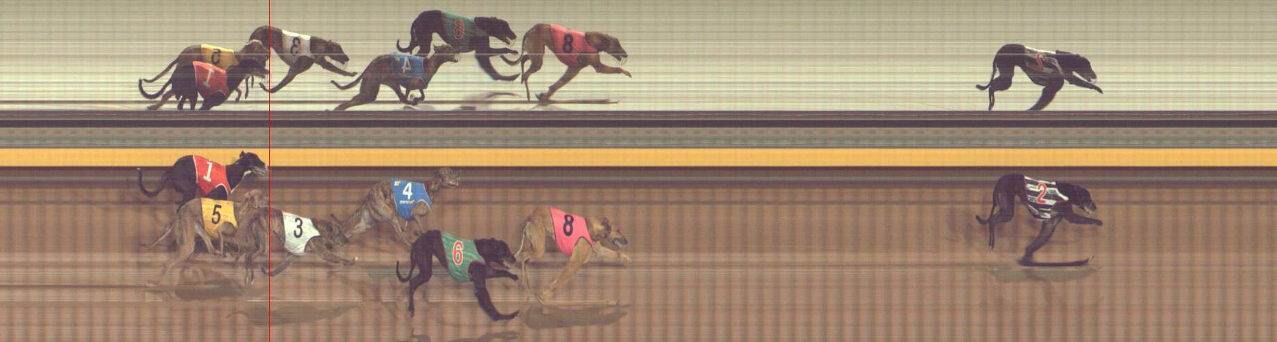 Photo finish for Bendigo Race 2